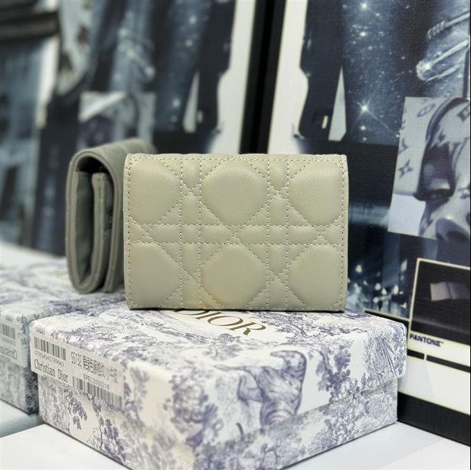 2025228Y 220P182145145